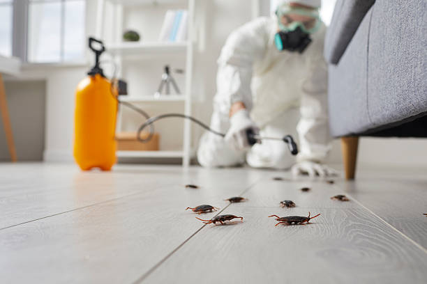 Commercial Kitchen Cockroach Control in La Porte City